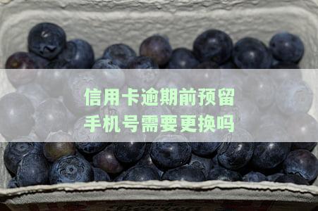 信用卡逾期前预留手机号需要更换吗