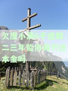 欠度小满6千逾期二三年能协商只还本金吗