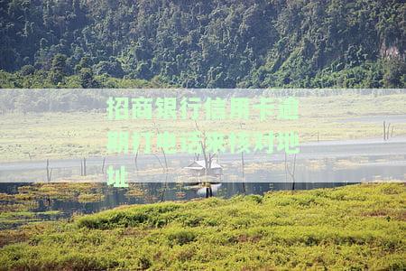 招商信用卡打过电话了怎么办？