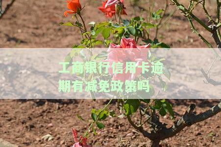 工商银行信用卡逾期有减免政策吗知乎：2021年新政策与后果