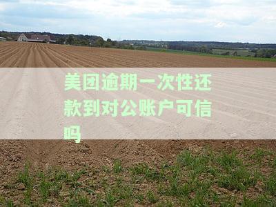 美团逾期一次性还款到对公账户可信吗