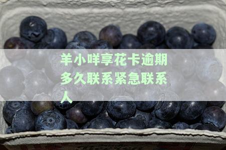羊小咩享花卡逾期几天打联系人电话