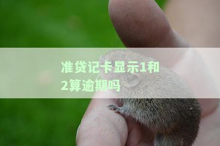 准贷记卡显示1和2算逾期吗