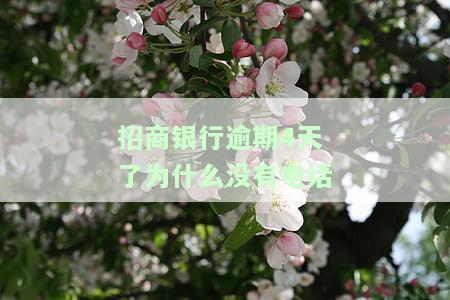 招商银行逾期4天了为什么没有电话催收及征信影响情况？