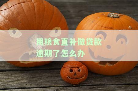 粮食直补可以抵押贷款吗？