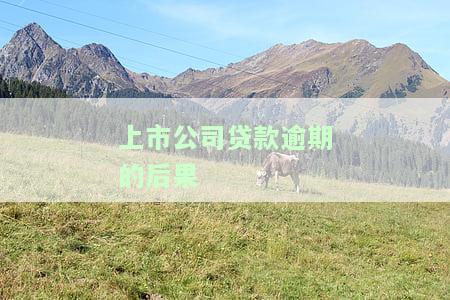 上市公司贷款逾期的后果有哪些