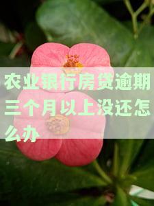 农业银行房贷逾期三个月以上没还会有什么后果及如何应对？