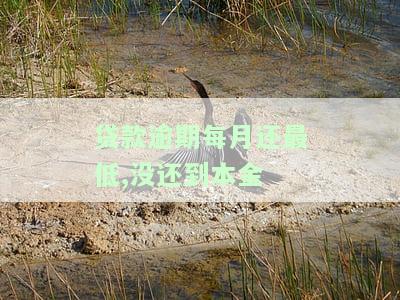 贷款逾期每月还一点的影响及催收情况