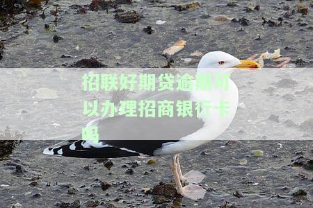 招联好期贷逾期可以办理招联的银行卡吗安全真的吗？