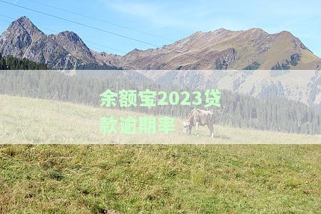 余额宝2023贷款逾期率是多少，期还款利息如何处理？