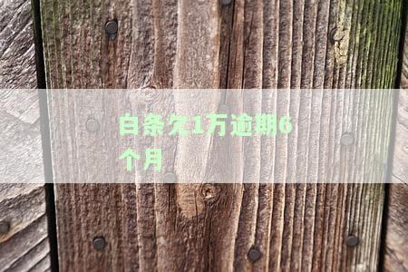 白条欠1万逾期6个月会怎样处理