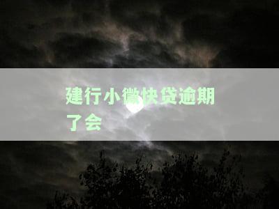 建行小微快贷逾期了会