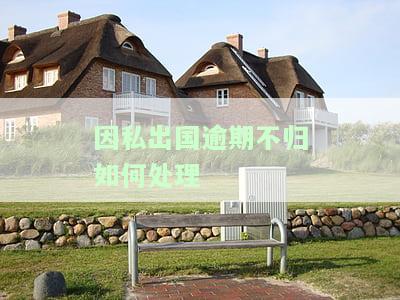 因私出国违规问题专整治报告及处理建议
