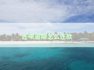 还呗逾期怎么还款