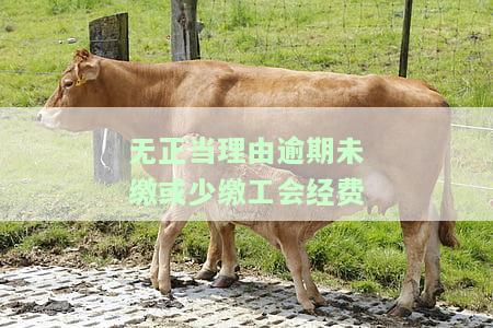 无正当理由逾期未缴或少缴工会经费