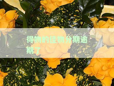 得物的佳物分期逾期了