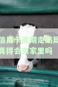 欠信用卡说要上门走访调查怎么回应和处理？