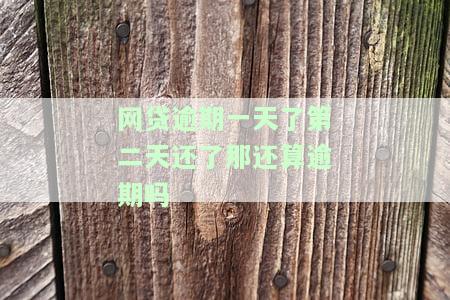 网贷逾期一天还了还能借吗及其影响
