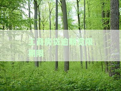工商房贷逾期宽限期限