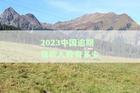 2023中国逾期贷款人数有多少