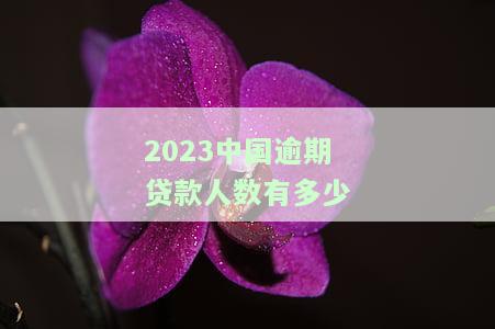 2023中国逾期贷款人数有多少