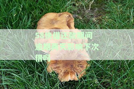 58快借还款期间逾期两天影响下次借吗