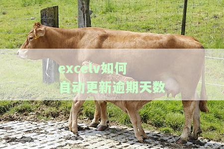 Excel怎么自动更新时间和进度