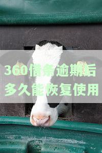 360借条逾期后多久能恢复使用
