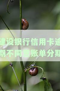 建设银行信用卡逾期不同意账单分期