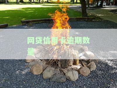 网贷信用卡逾期数量