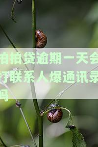 拍拍贷逾期一天会打联系人爆通讯录吗