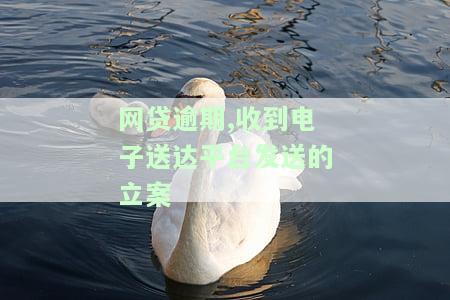 网贷逾期,收到电子送达平台发送的立案短信，应该怎么办？