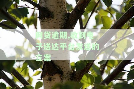 网贷逾期,收到电子送达平台发送的立案