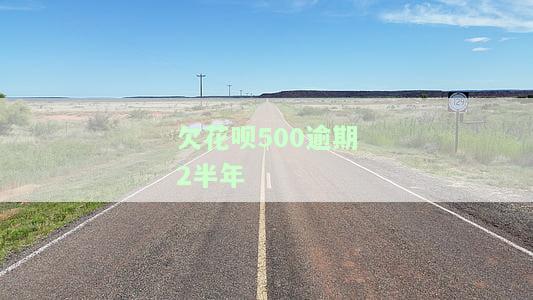 欠花呗500逾期2半年