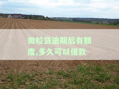 微粒贷逾期后有额度,多久可以借款