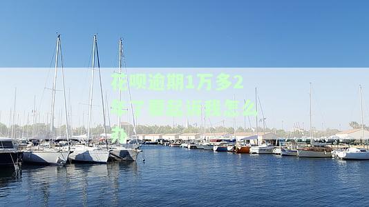 花呗逾期1万多2年了要起诉我怎么办
