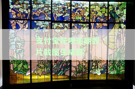 支付宝花呗逾期信息照片截图生成方法及真实可见情况