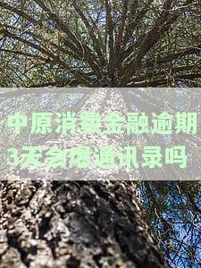 中原消费金融逾期多久会爆通讯录信息及通知对象