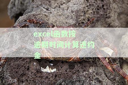excel函数按逾期时间计算违约金