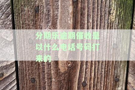 分期乐的催款电话是哪里的