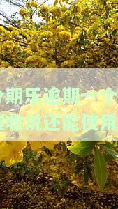 分期乐逾期一个月催收说还能使用