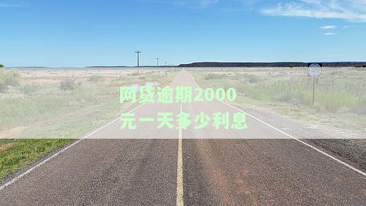 网贷逾期2000块钱会立案吗及应对措