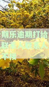 分期乐逾期打电话给紧急联系人会怎么说及相关内容
