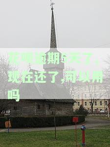 花呗逾期5天了,现在还了,可以用吗