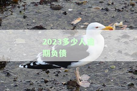 2023多少人逾期负债