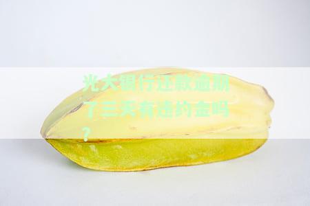 光大银行逾期3天扣费1500多怎么减免及其他逾期情况解答