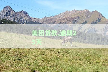 美团贷款,逾期25天