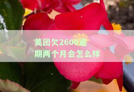 美团欠2600逾期两个月会怎么样