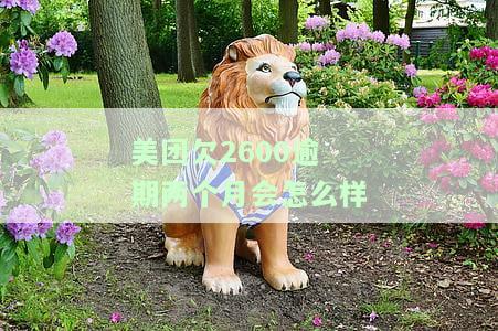 美团欠2600逾期两个月会怎么样