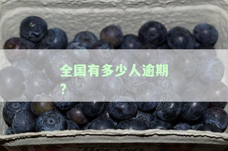 全国有多少人逾期?